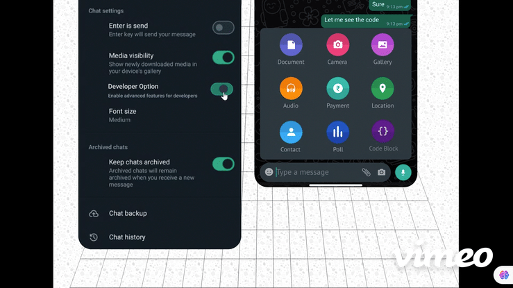 A GIF showing two sections of a WhatsApp interface. The left section displays WhatsApp chat settings, with options like “Enter is send,” “Media visibility,” “Developer Option,” and others. The “Developer Option” is toggled on. The right section shows the attachment options menu with Document, Camera, Gallery, Audio, Payment, Location, Contact, Poll, and the newly added “Code Block” feature highlighted in purple. The background features a grid pattern