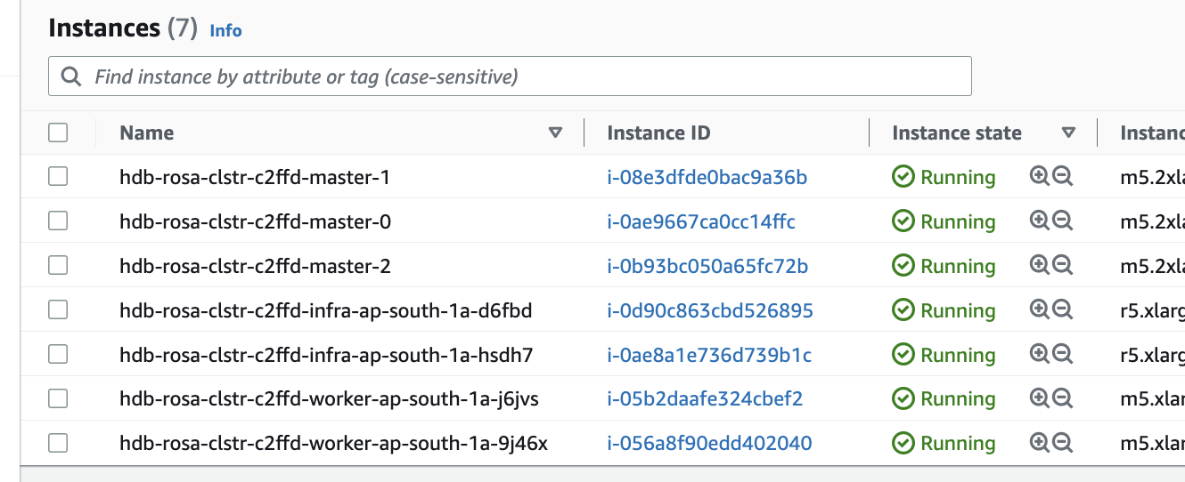 List of EC2 rosa instances