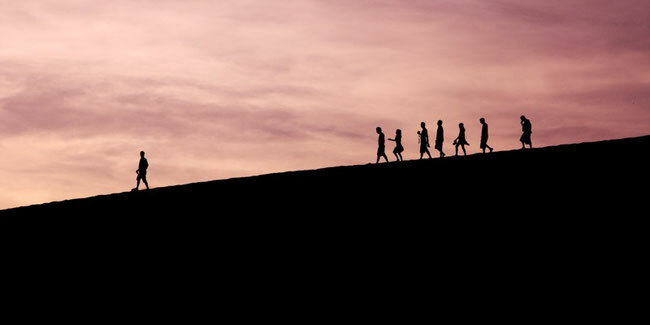 Organizational and Leadership Skills