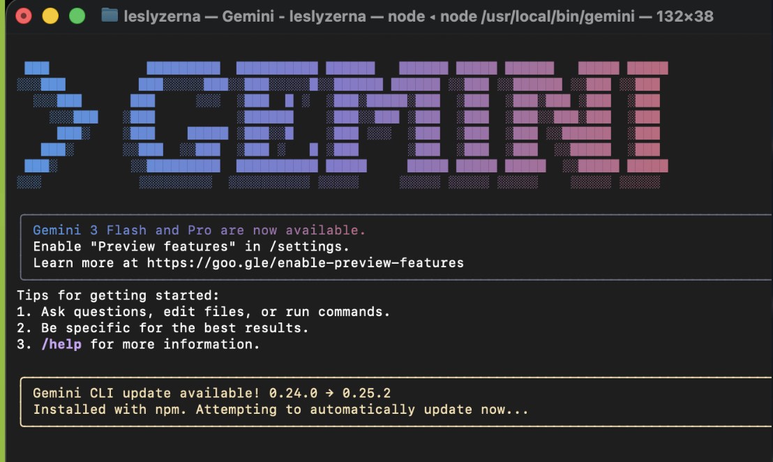 Welcome to Gemini CLI