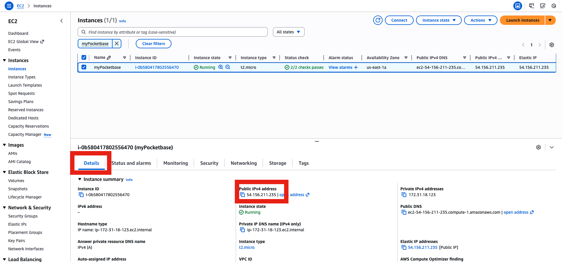 Find EC2 instance public IP address