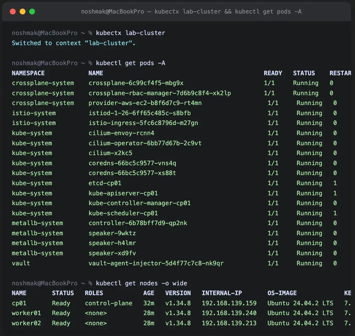 Full EKS mirror stack running — all components healthy.
