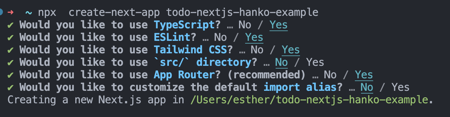 Pre-config Next.js prompts