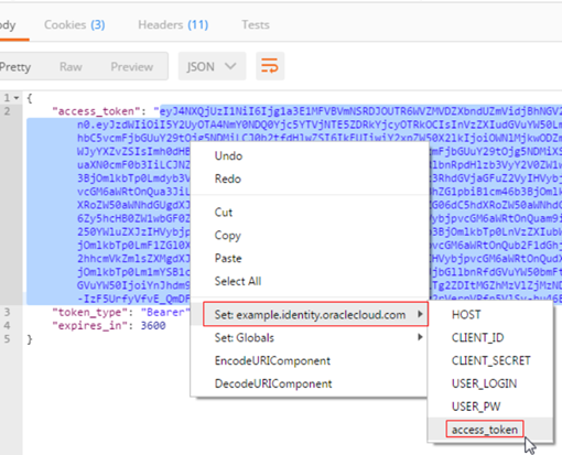 copy access token then paste under access token variable