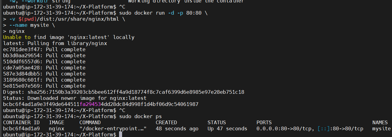Docker 실행 출력 1