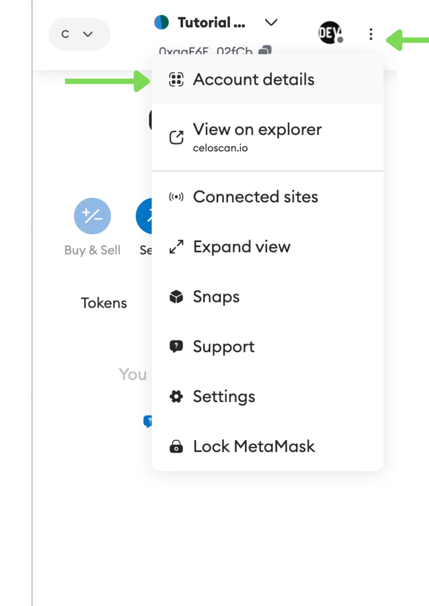 Metamask account details
