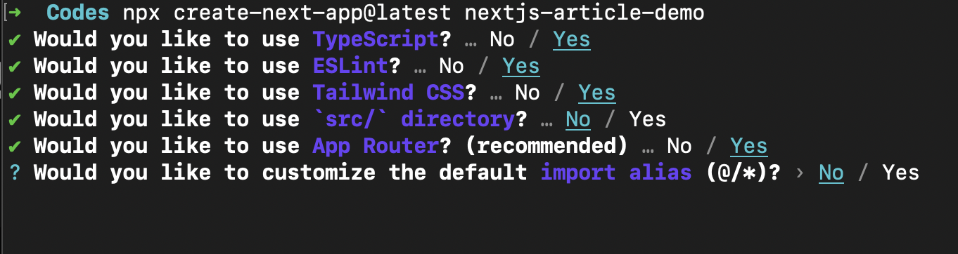 nextjs setup options