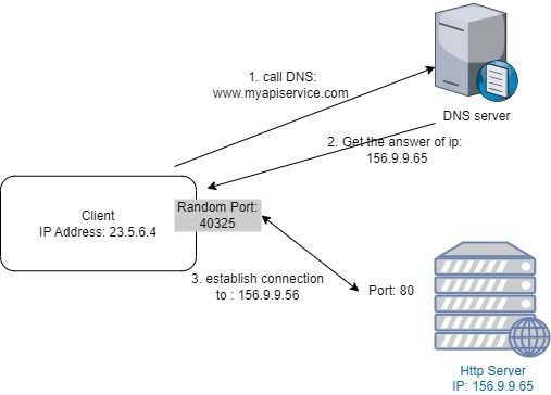 Image shows how DNS get called