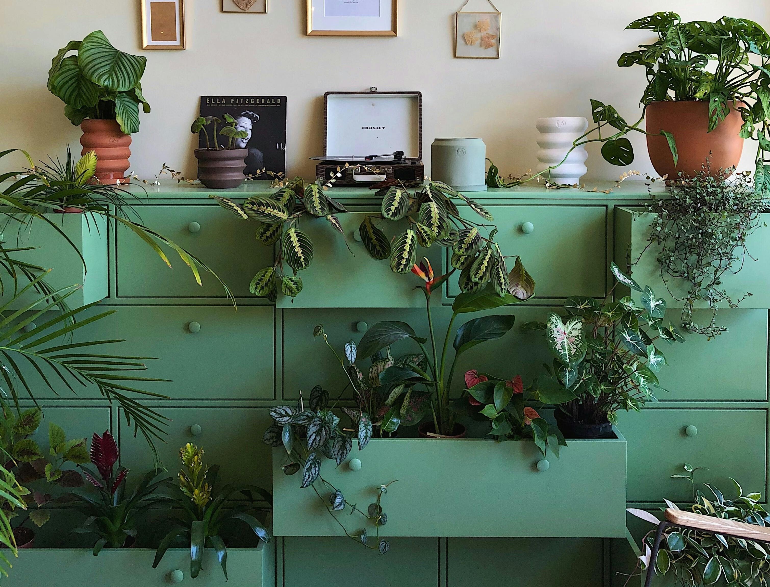 storage-vectordb-lastcrown