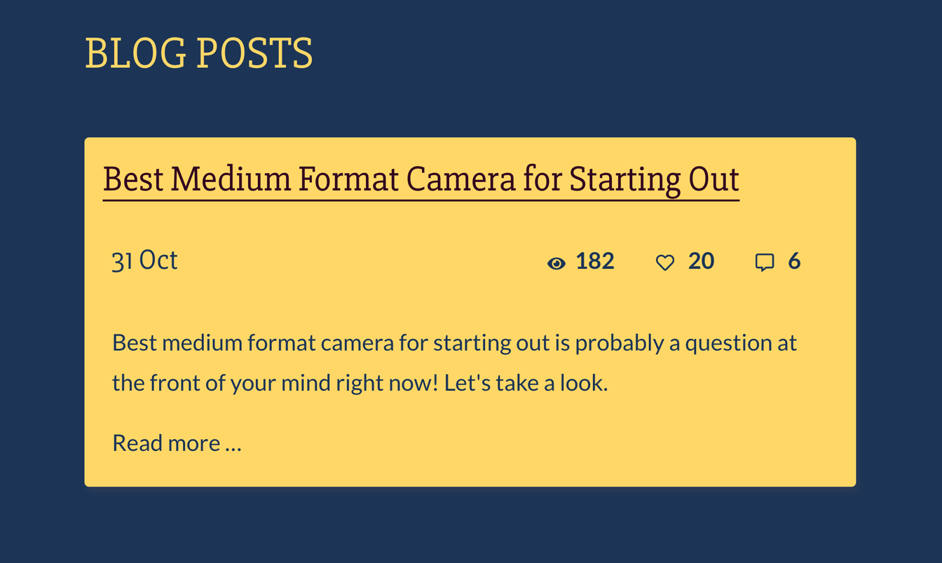 Screenshot of Narcissus demo site blog post summary showing post title, meta (views, likes and comment) as well as a summary excerpt