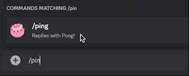 ping command example