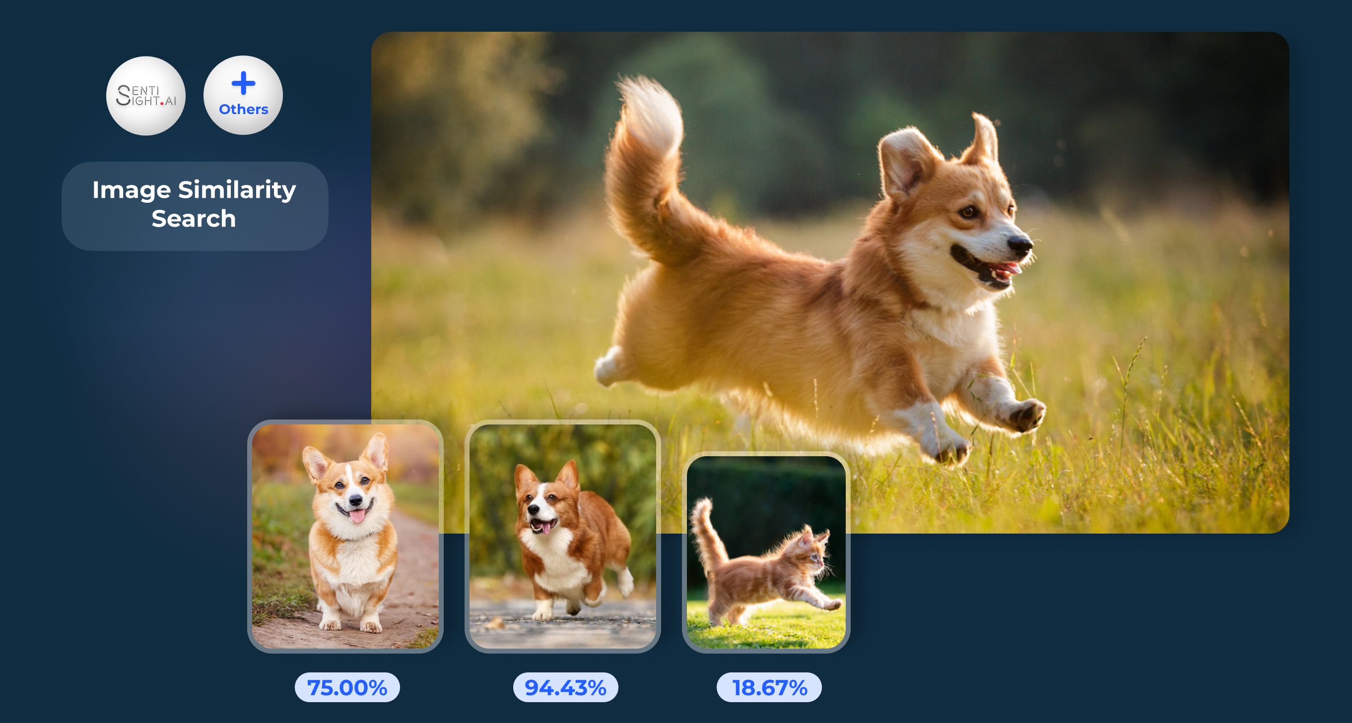 Image Similarity Search Eden AI