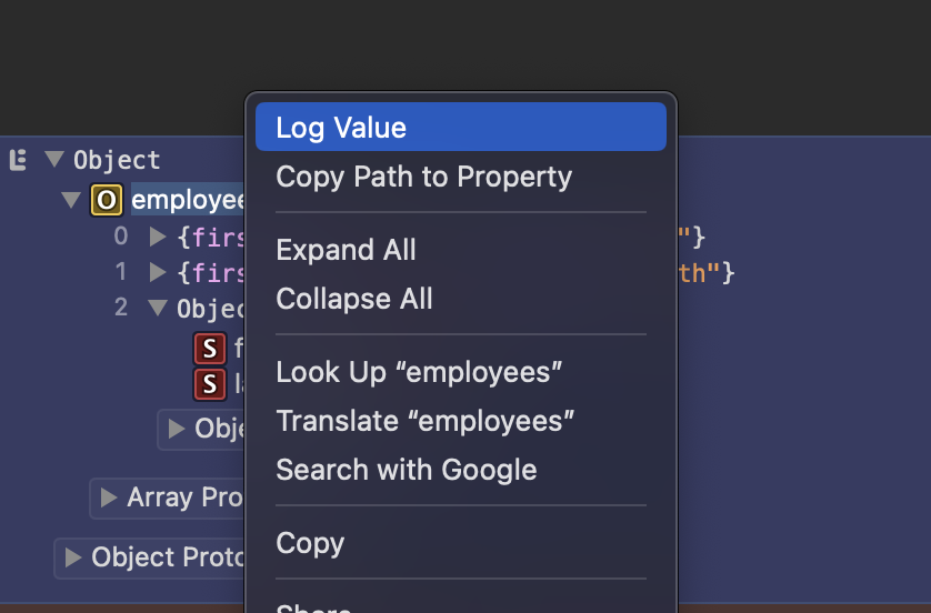 Safari Log Value Option