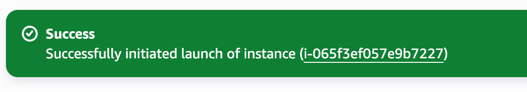 Success banner after launching the EC2 instance