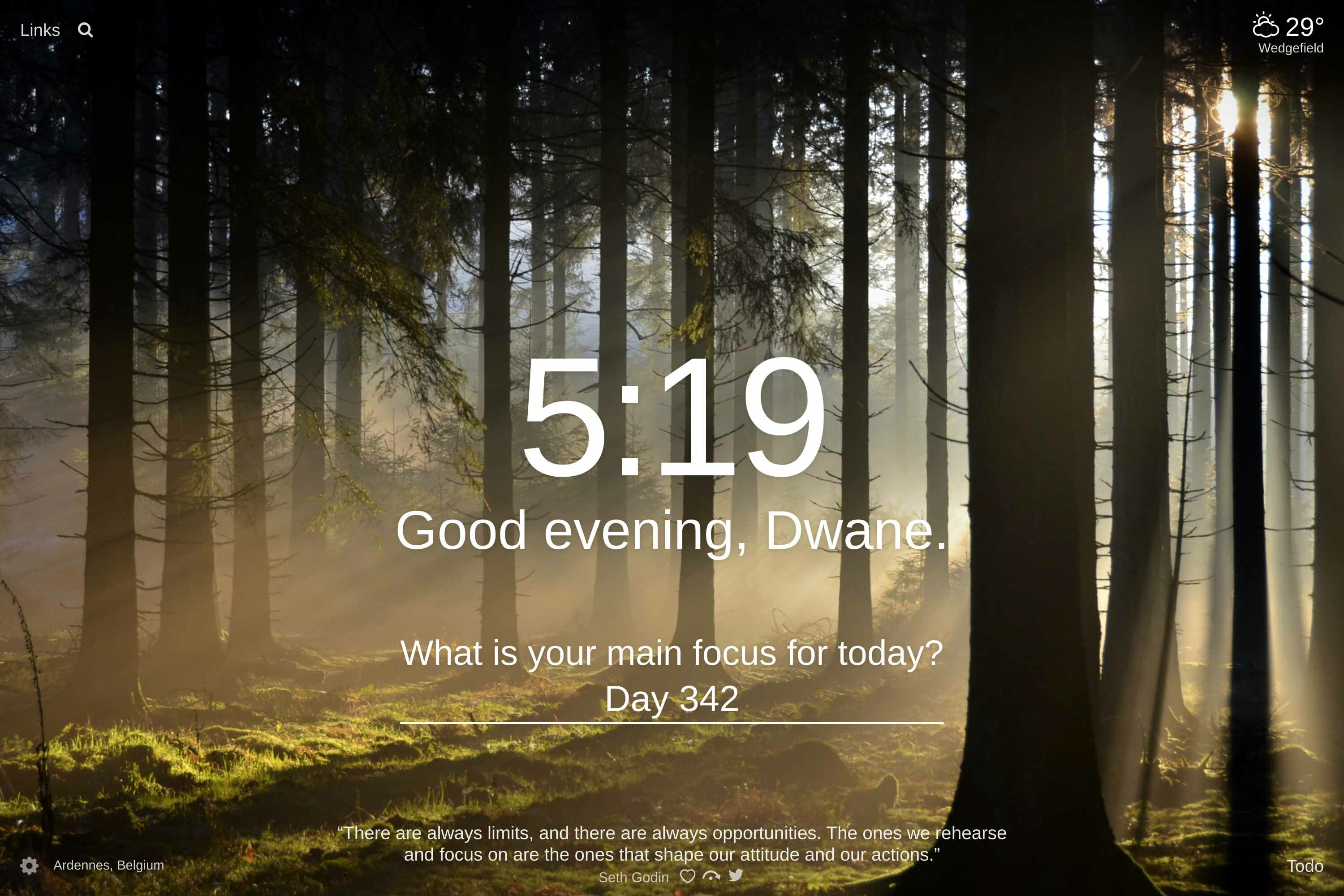 View though the trunks of trees in a Ardennes, Belgium forest on a foggy day