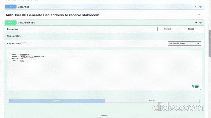 API Documentation GIF