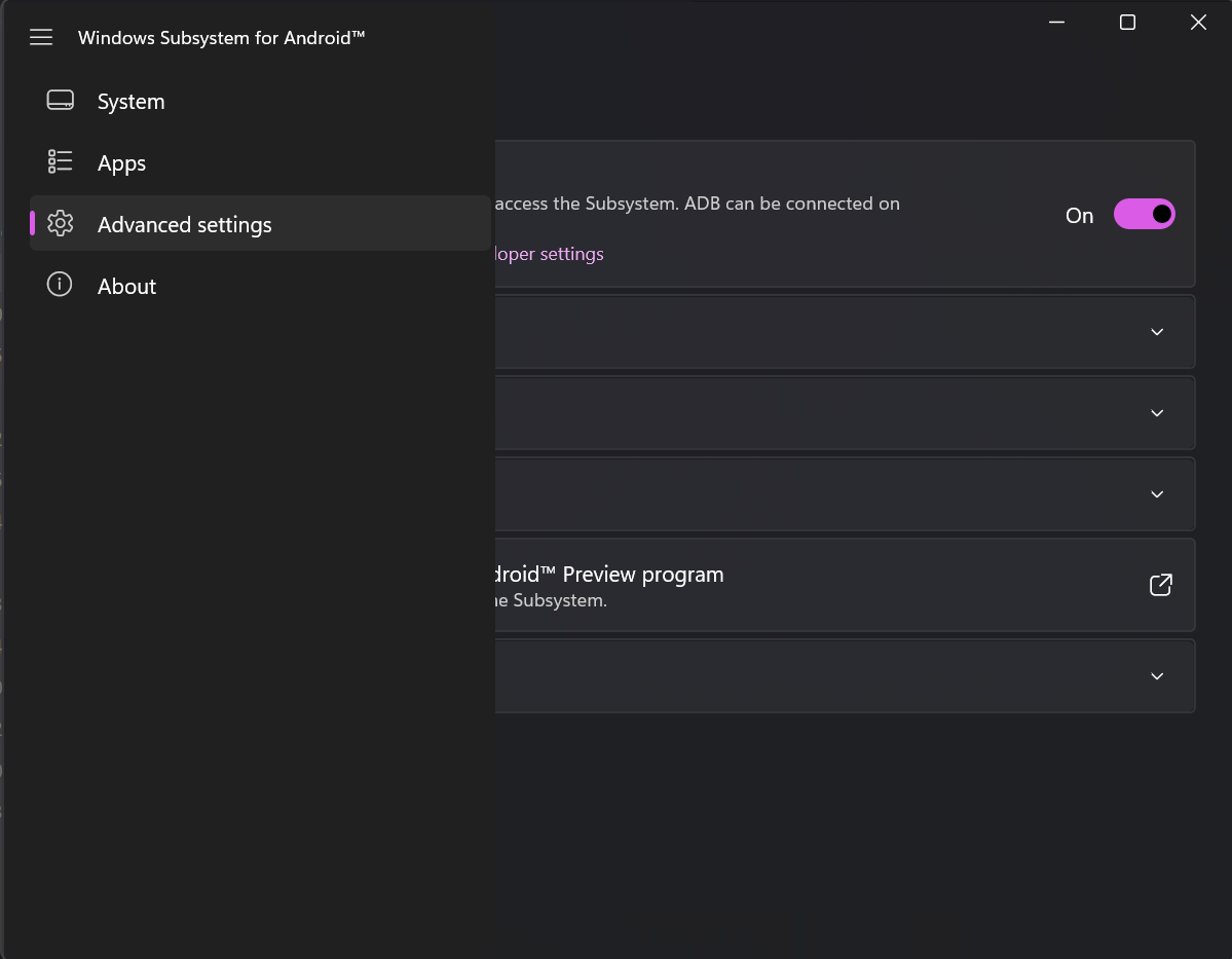 mostrando a aba advanced settings no wsa
