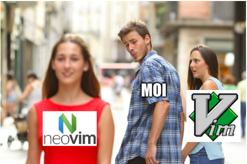 Nvim meme