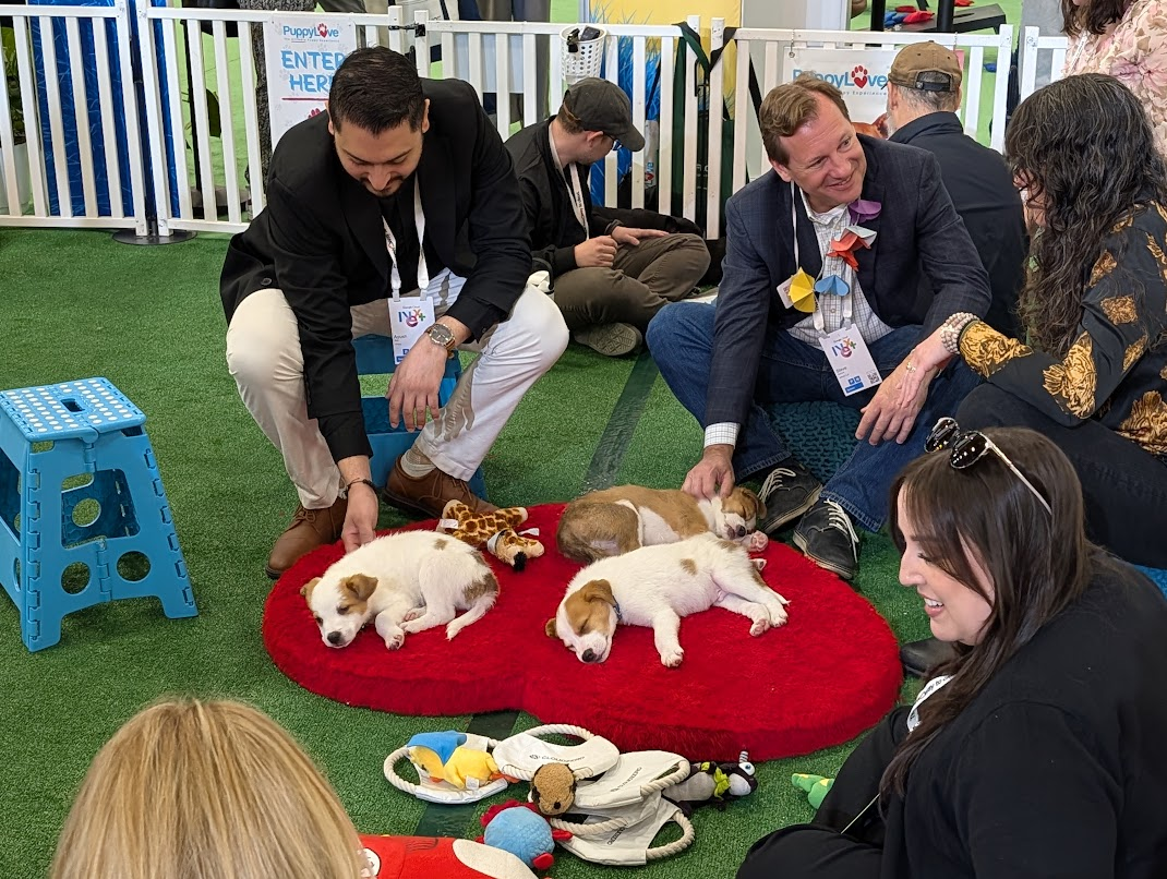 Puppies!