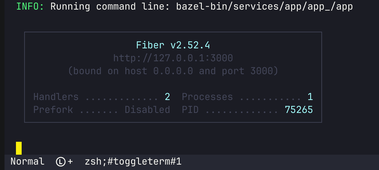 Go fiber http server running