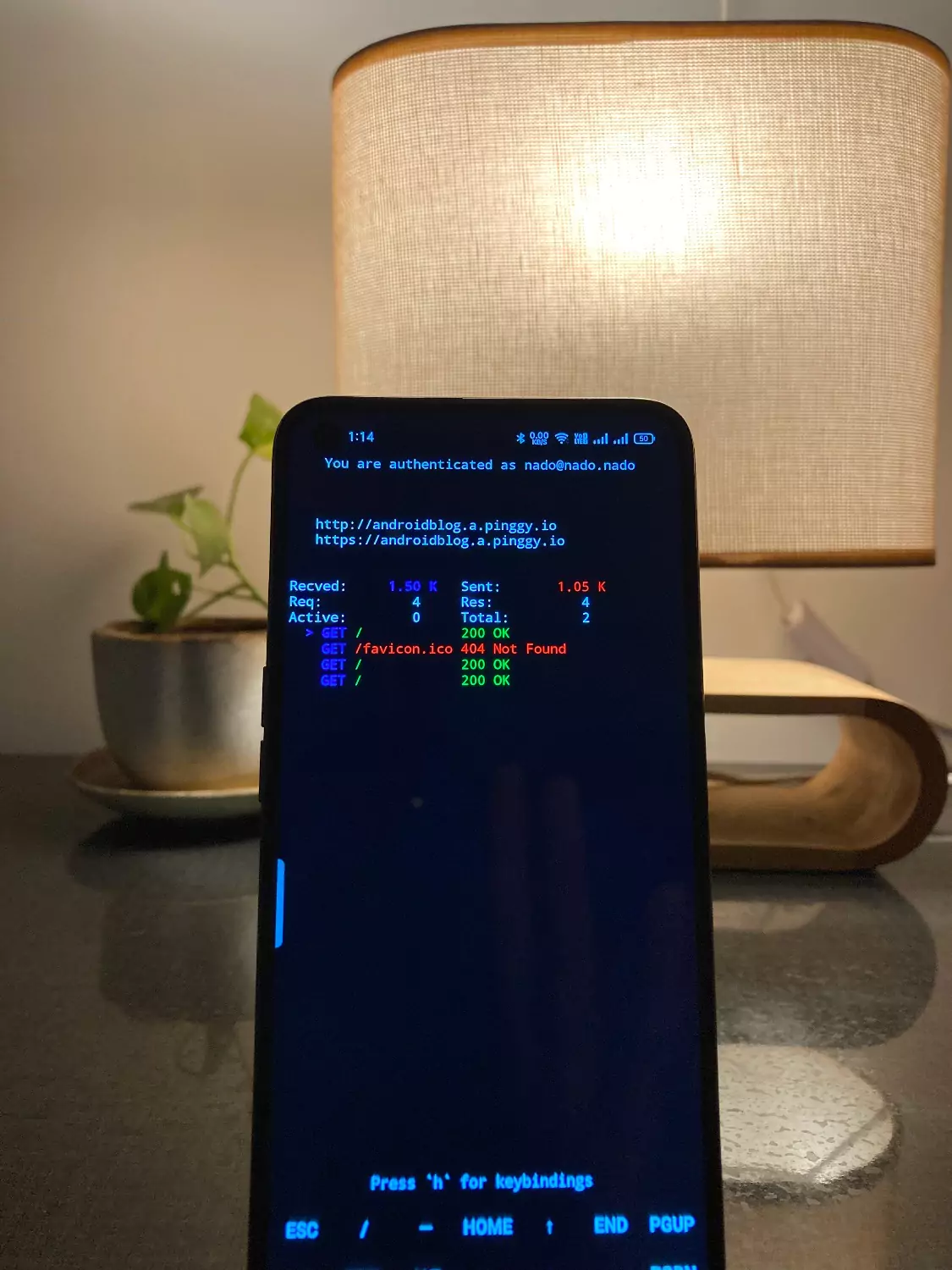 Pinggy’s terminal interface showing live requests
