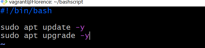 System Update and Upgrade