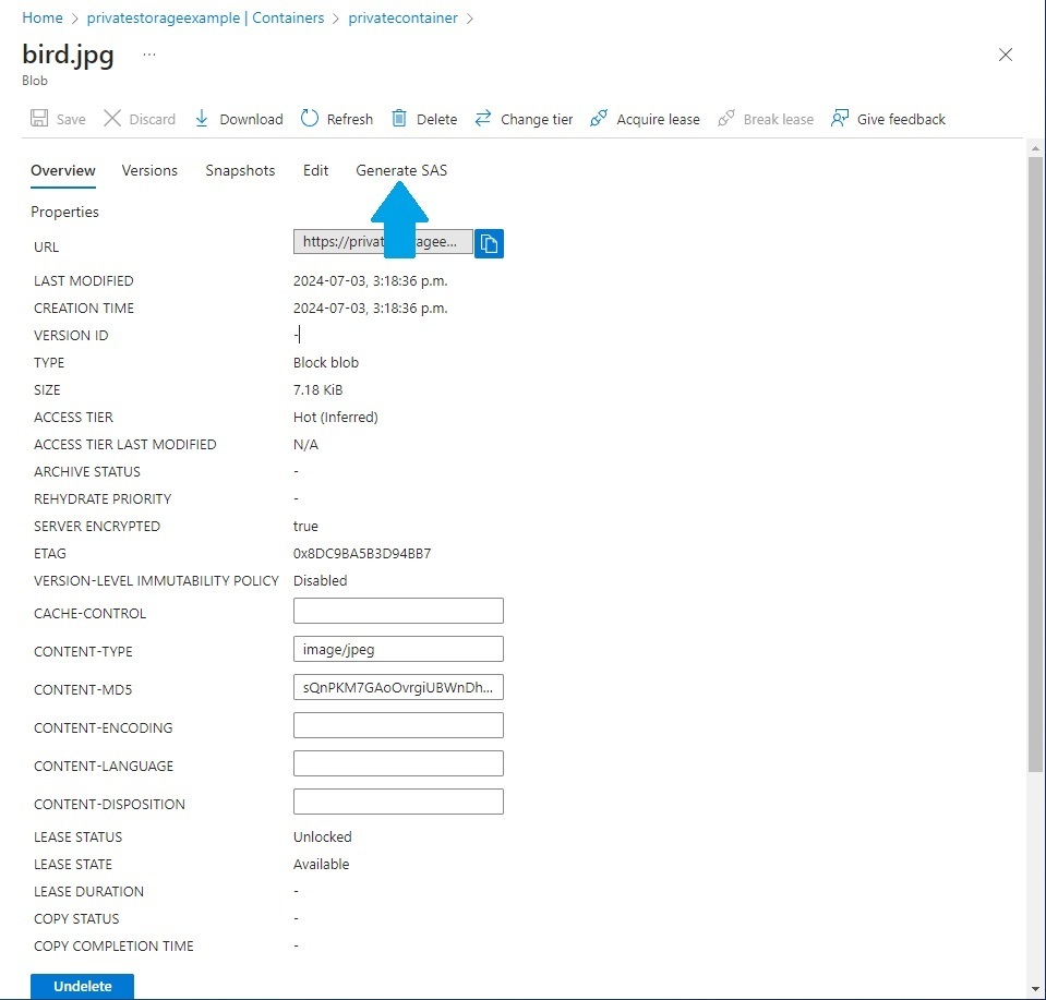 Clicking Generate SAS