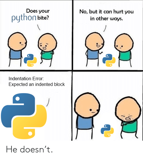 python bite meme