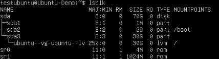 The partition configuration of the Linux VM. The third partition has 30 GB of storage.