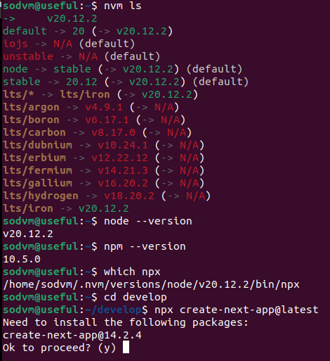 executed the npx command in my terminal