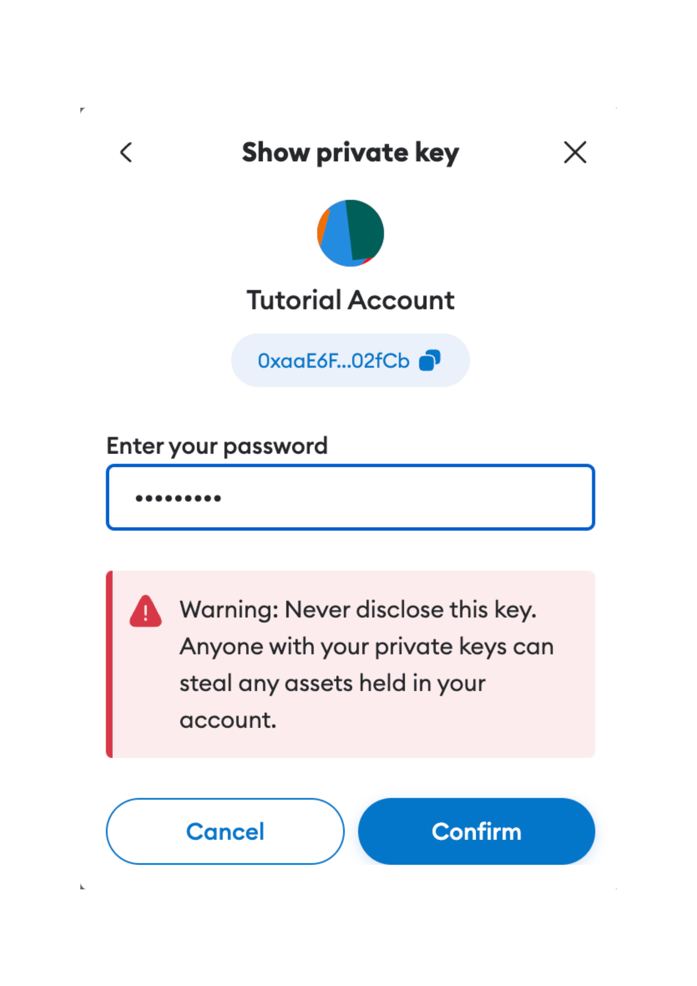 Insert password on Metamask