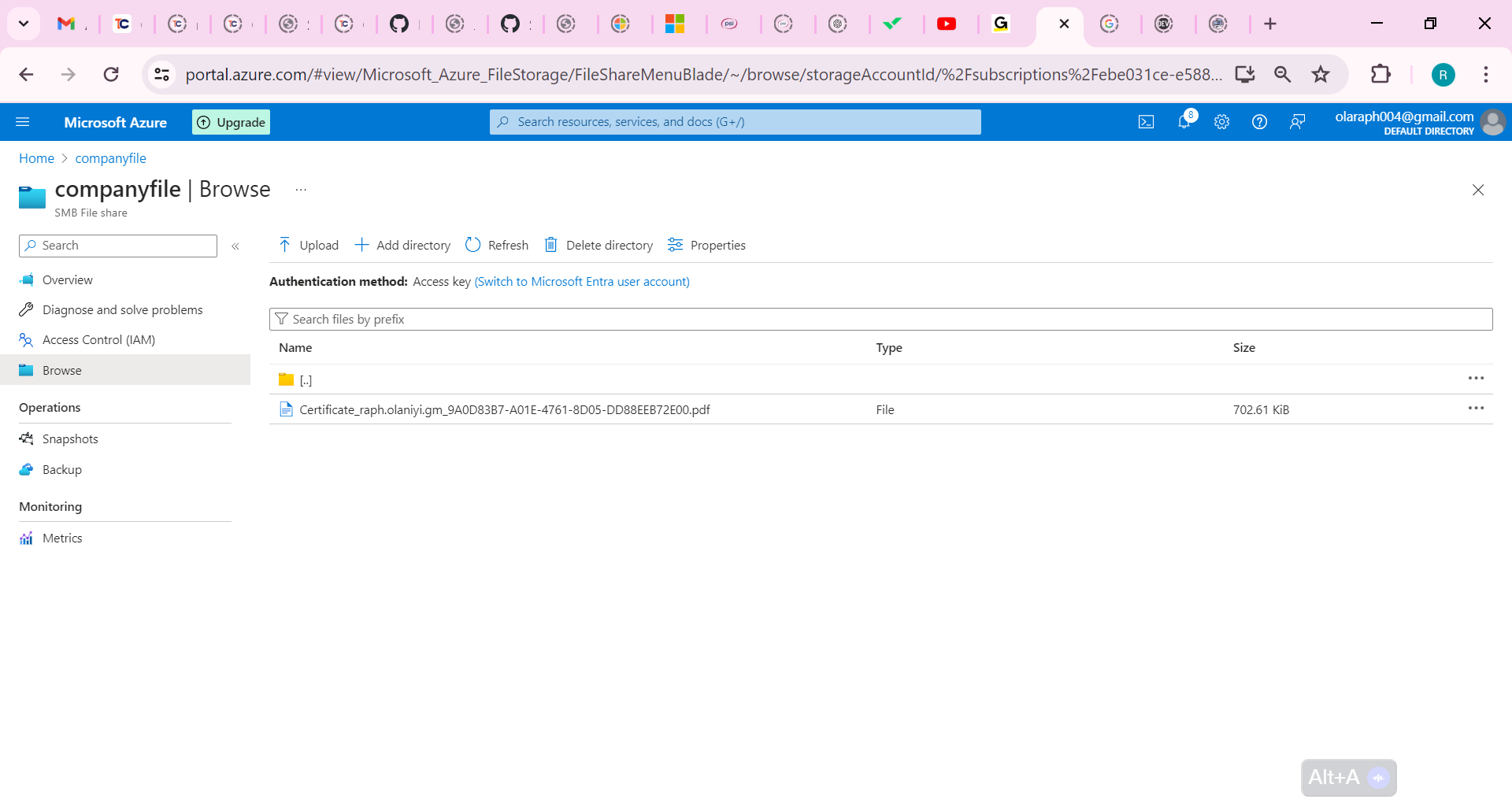 File has been restored 