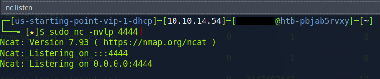 Screenshot 12: Setting up netcat listener