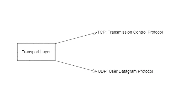 Transport Layer: TCP & UDP