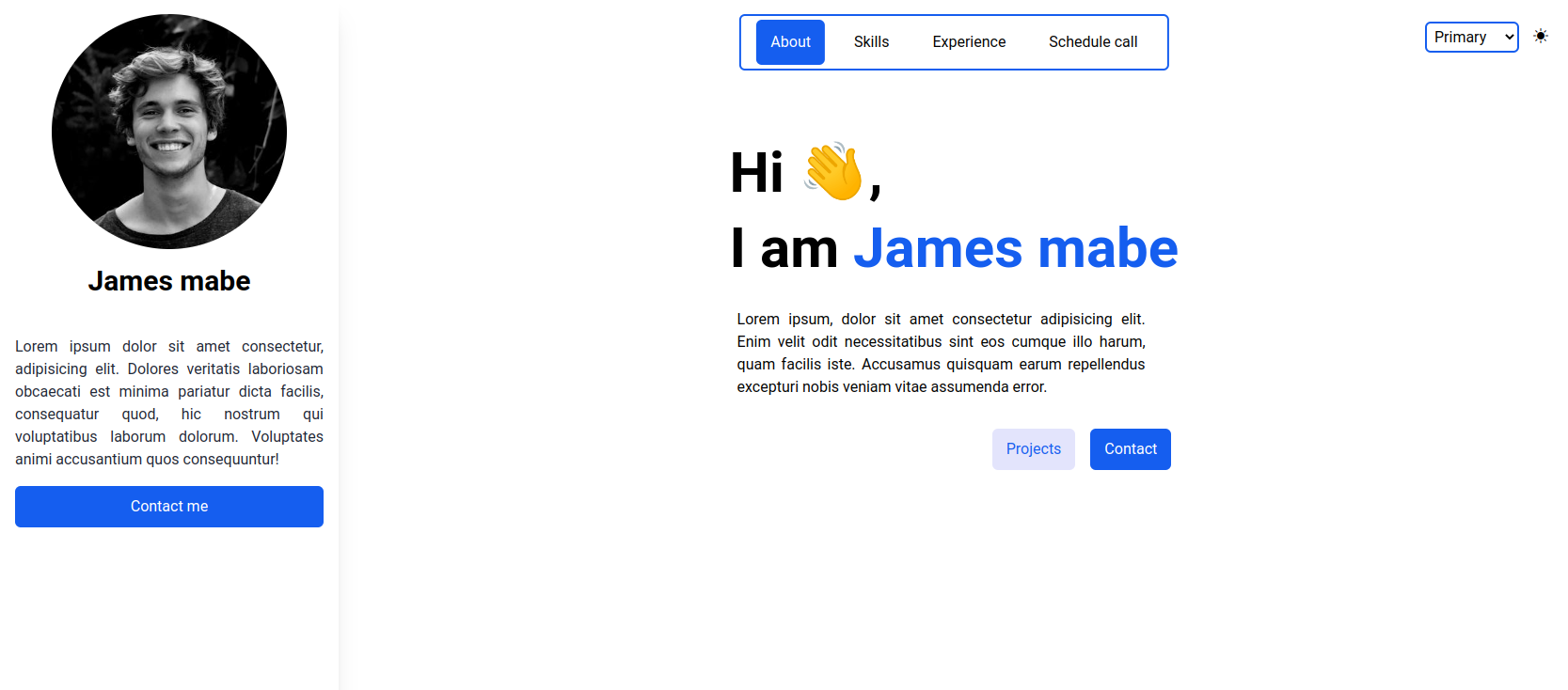 Developers portfolio