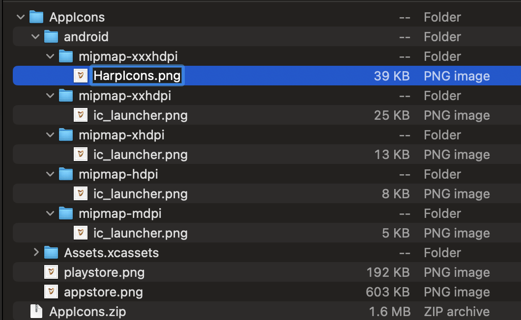 App Icon rename
