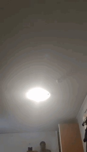 Dive In