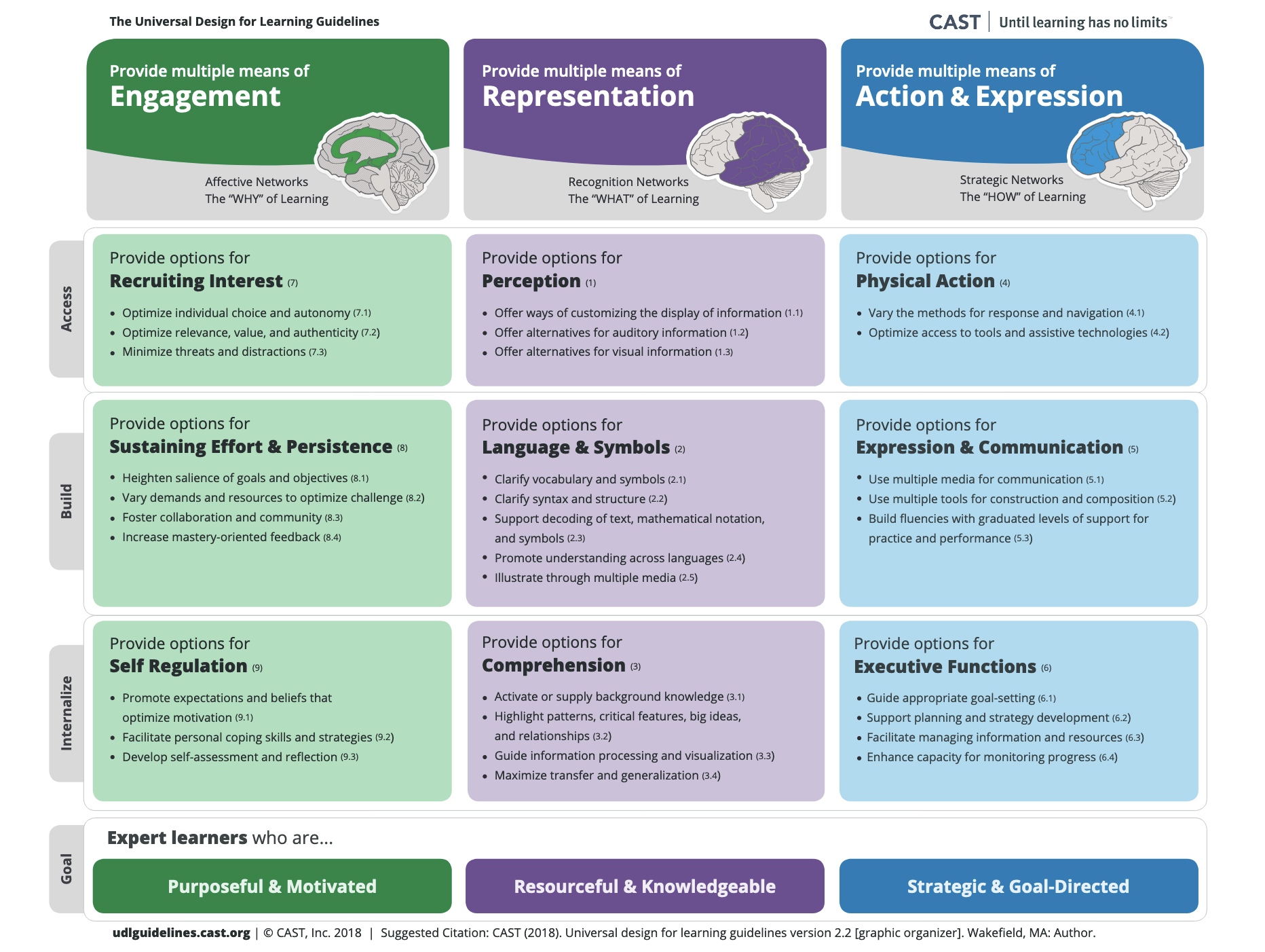 Universal design for learning Guideline structured in a table divided into the three ways a brain works and with instruction how to provide learning material. These instruction are going to be discussed in more detail in the next chapters.