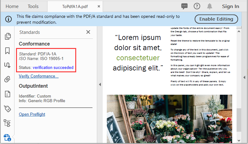 Convert PDF to PDF/A in Java