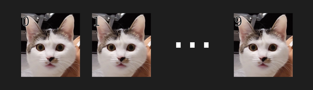 A sequence of images showing a white and black cat with wide eyes. The images are labeled with numbers starting from 0 on the left, incrementing by 1, and continuing with ellipses until 9 on the right. The cat's expression remains the same in each image