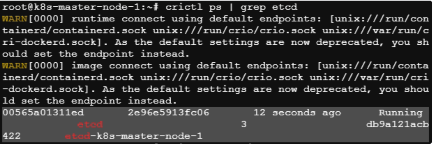 Image showing the output of crictl ps