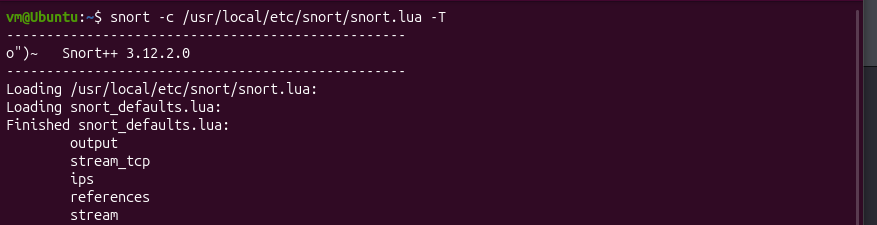 Snort 配置验证输出