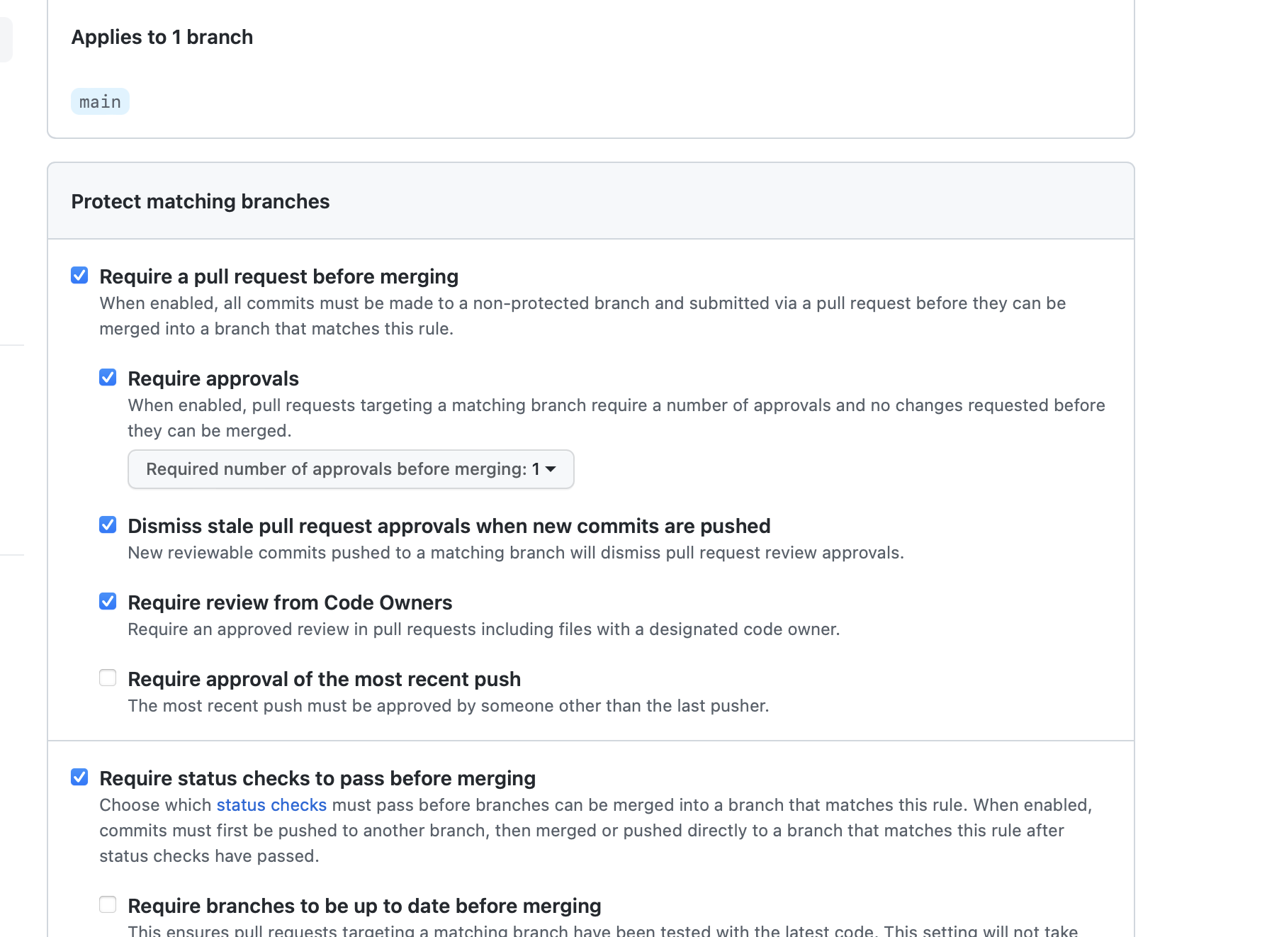 GitHub Protection Branches