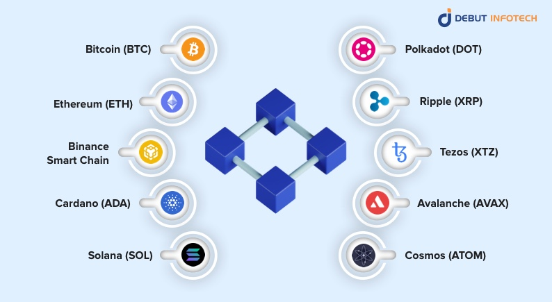Blockchain Ecosystem