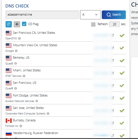 DNS checker