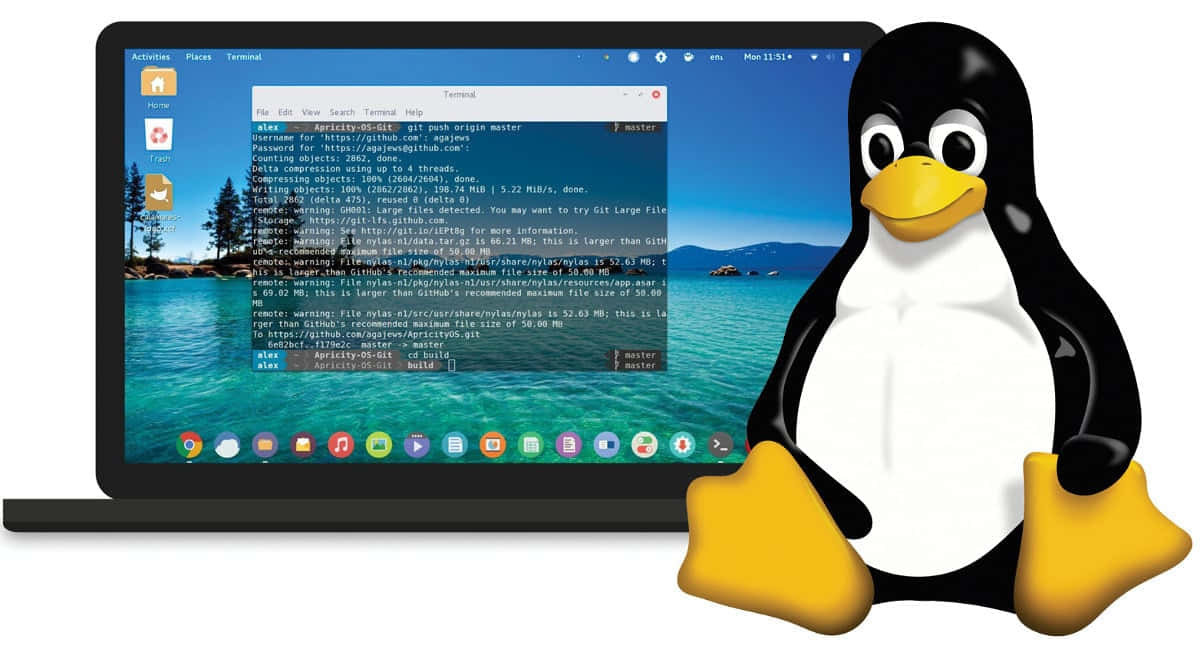 linux