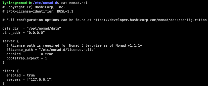 nomad.hcl