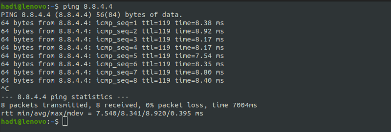 Sample result of ping command execution