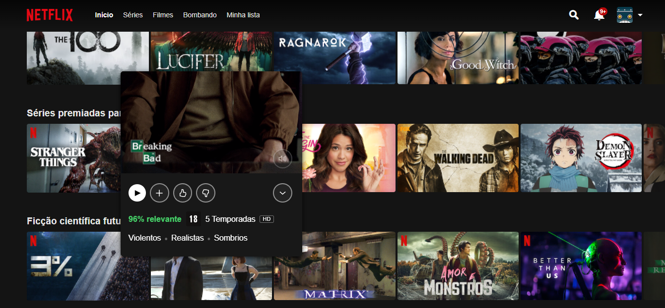 Imagem da Interface do Netflix