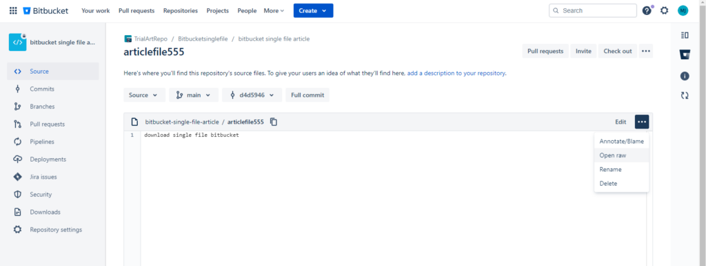 Manual download - pic 2
